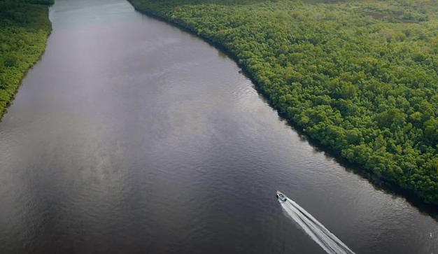 Arial image of The Florida Everglades