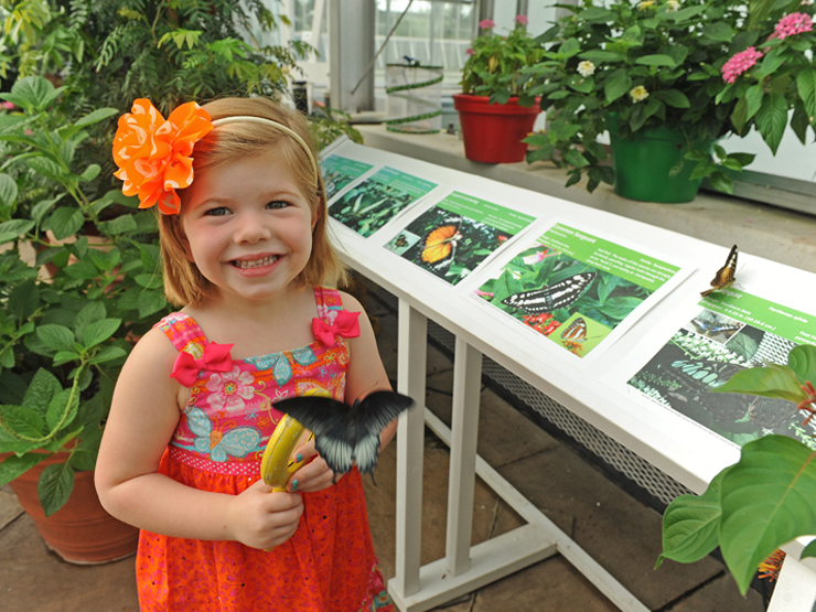 Butterflies Live girl with butterfly