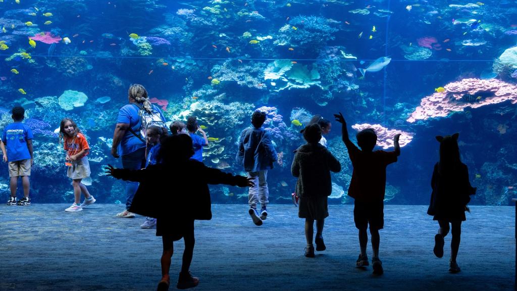 Kids in front of a tank at the Georgia aquarium