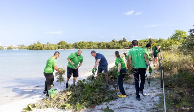 A group of Publix associates clean up a beach shoreline to help the environment