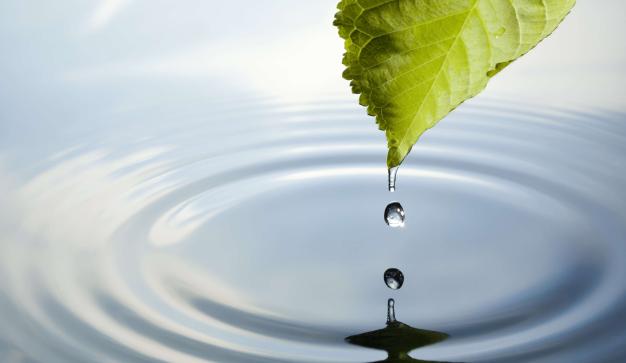 a leaf with a droplet of water representing water conservation