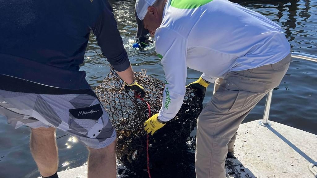 two people removing marine debris