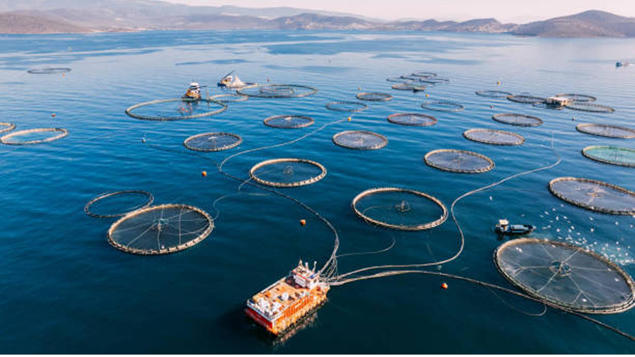 boat harvesting from a sustainable fishery