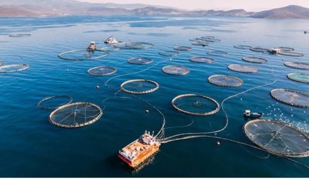 boat harvesting from a sustainable fishery representing the global sustainable seafood initiative