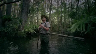 man in the everglades