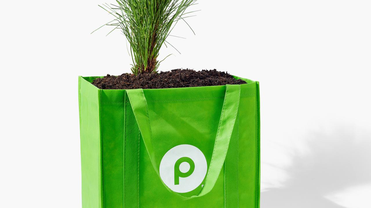 tree planted in publix shopping bag